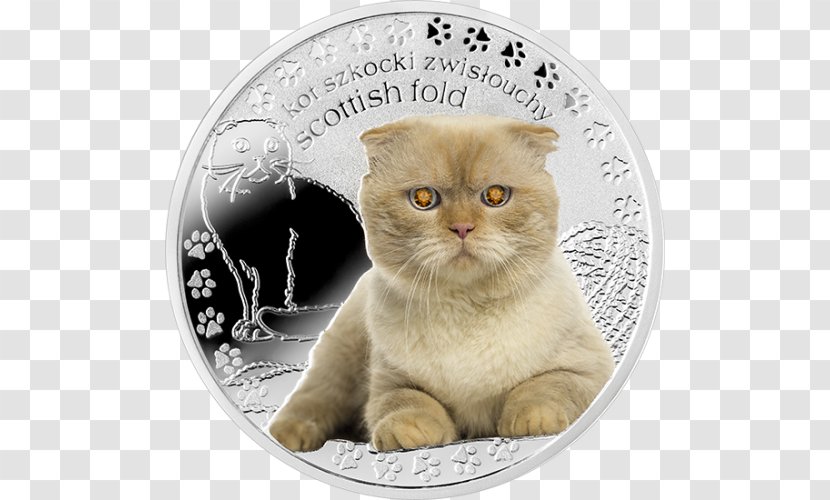 Scottish Fold Whiskers British Shorthair Domestic Short-haired Cat Silver Coin - Kitten - Scotish Transparent PNG