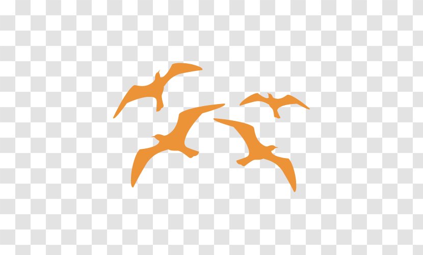 Bird Stencil Gulls Aerography Swallow - Orange Transparent PNG