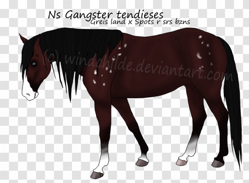 Mustang Stallion Mare Halter Horse Harnesses - Pony Transparent PNG