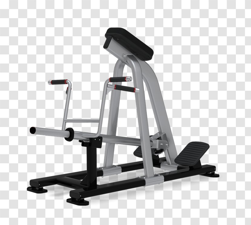 Star Trac Row Strength Training Exercise Equipment Fitness Centre - Physical Transparent PNG