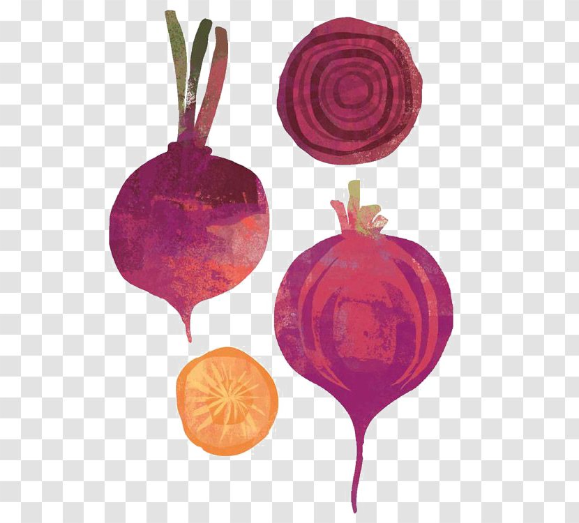 Beetroot Vegetable Onion Shallot Illustration Transparent PNG