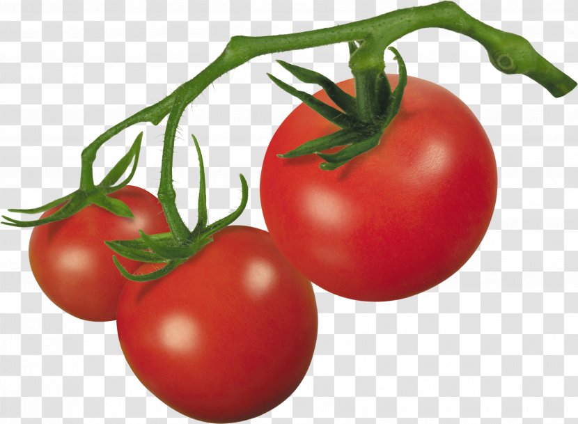 Cherry Tomato Roma Clip Art Transparent PNG