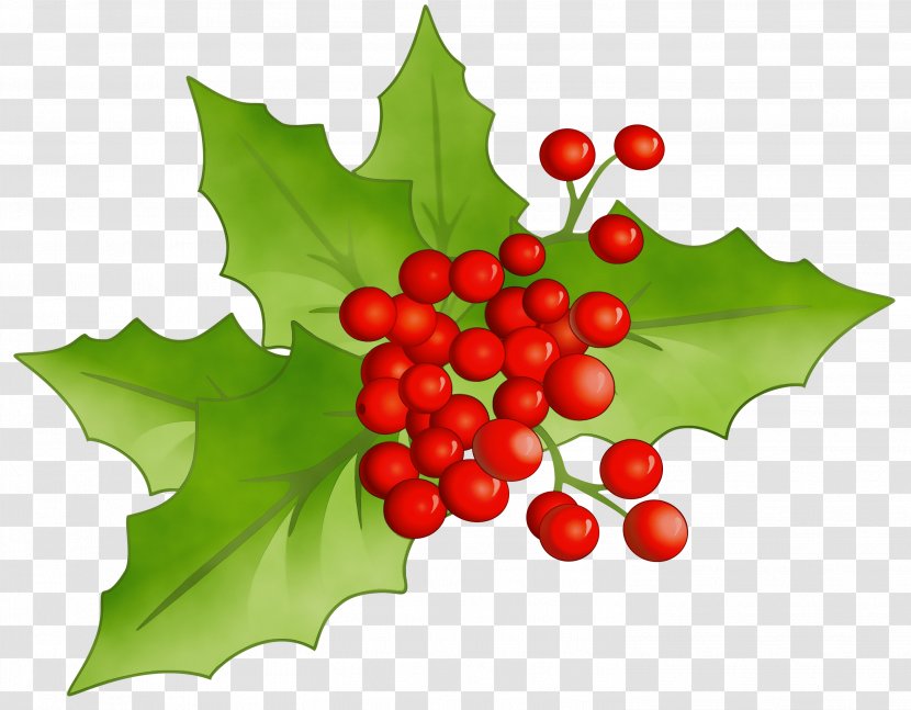Watercolor Christmas Tree - Drawing - Plane Moschatel Family Transparent PNG