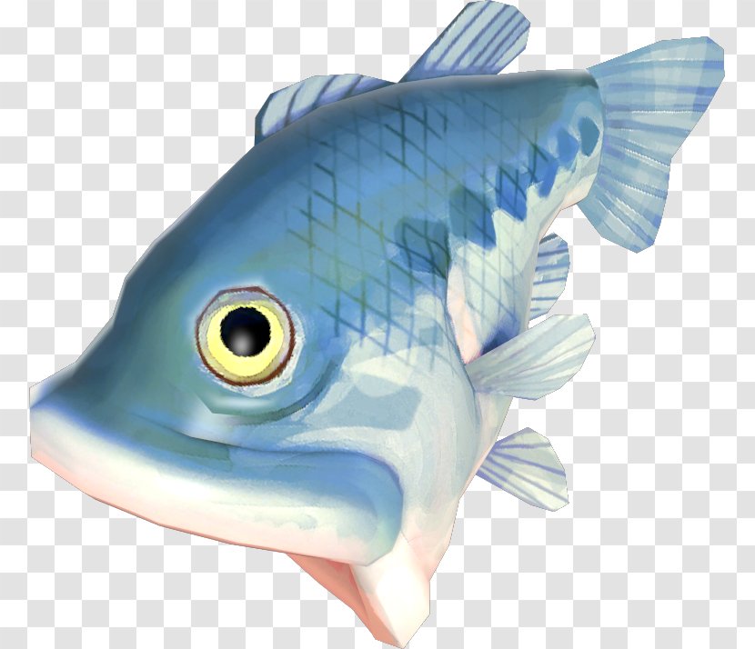 Bony Fishes Flatfish Mummy Pig Plaice - Sole - Fish Transparent PNG