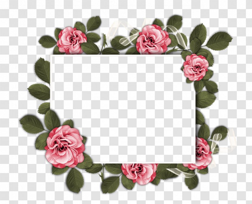 Flower Garden Roses Floral Design Rosaceae - Picture Frames - Rose Frame Transparent PNG