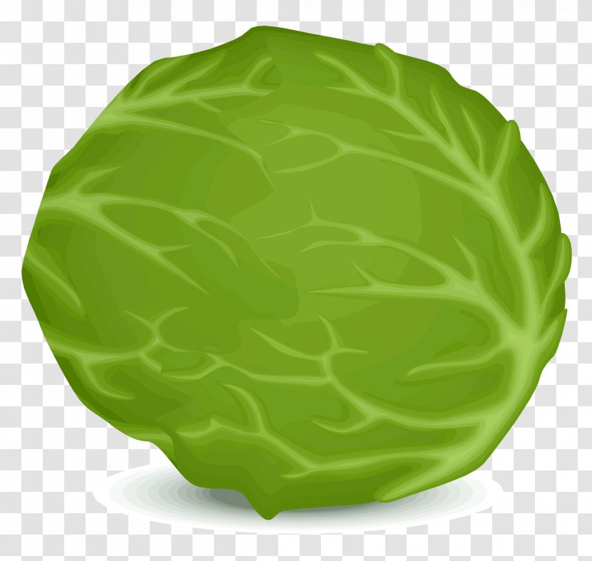 Iceberg Lettuce Butterhead Clip Art - Vegetable Transparent PNG