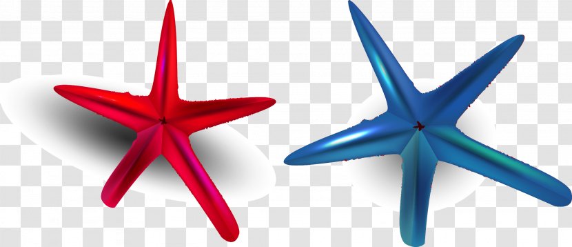 Starfish Clip Art Transparent PNG