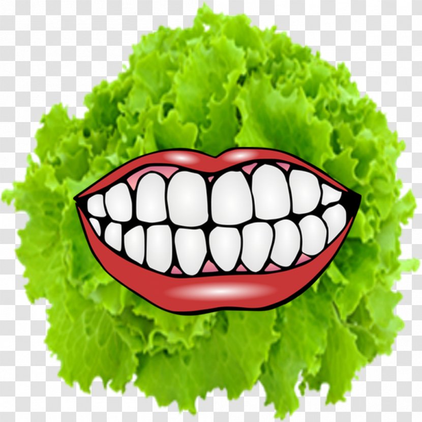 Dentistry Chevrolet Human Tooth Mouth Ulcer - Leaf Vegetable - Lettuce Transparent PNG