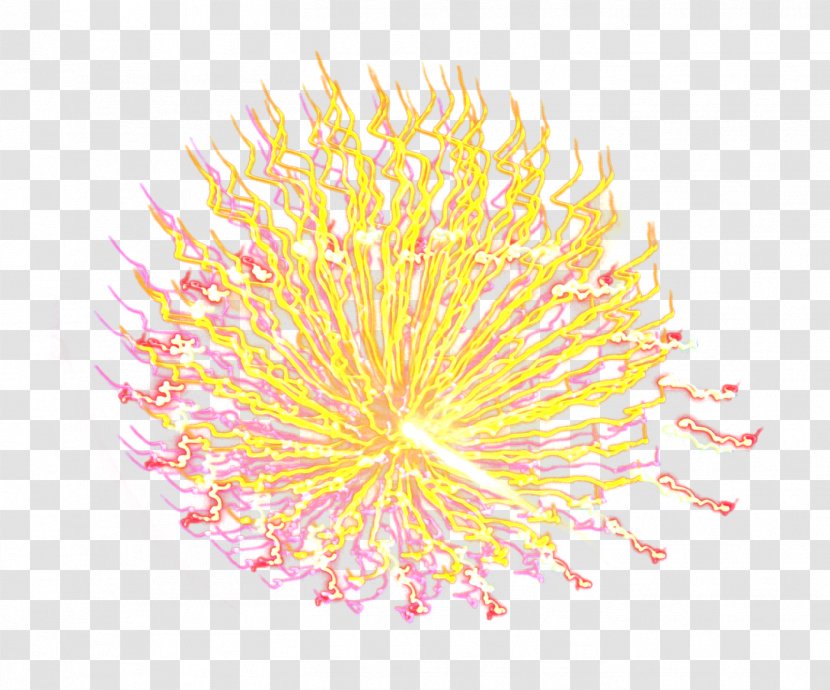 Yellow Petal Pattern - Flower - Fireworks Transparent PNG