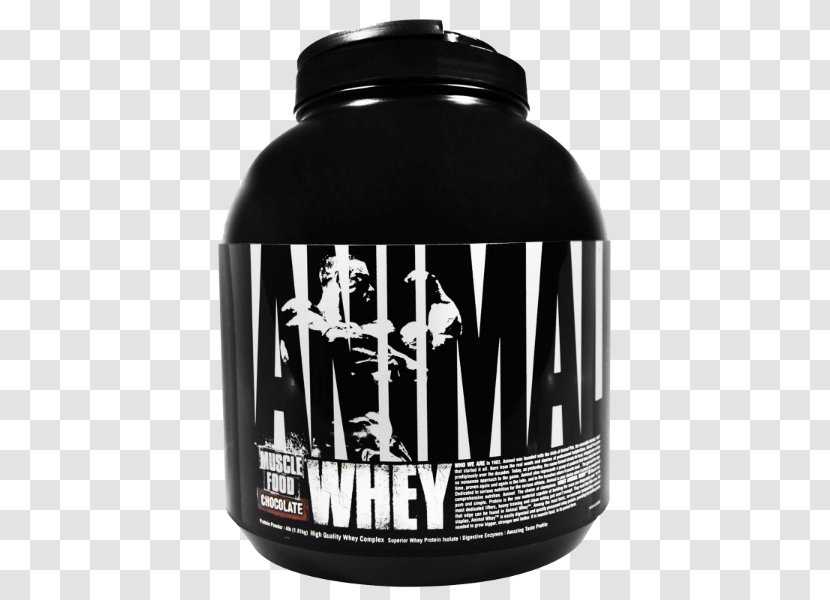 Dietary Supplement Chocolate Brownie Universal Nutrition Animal Whey Protein Transparent PNG