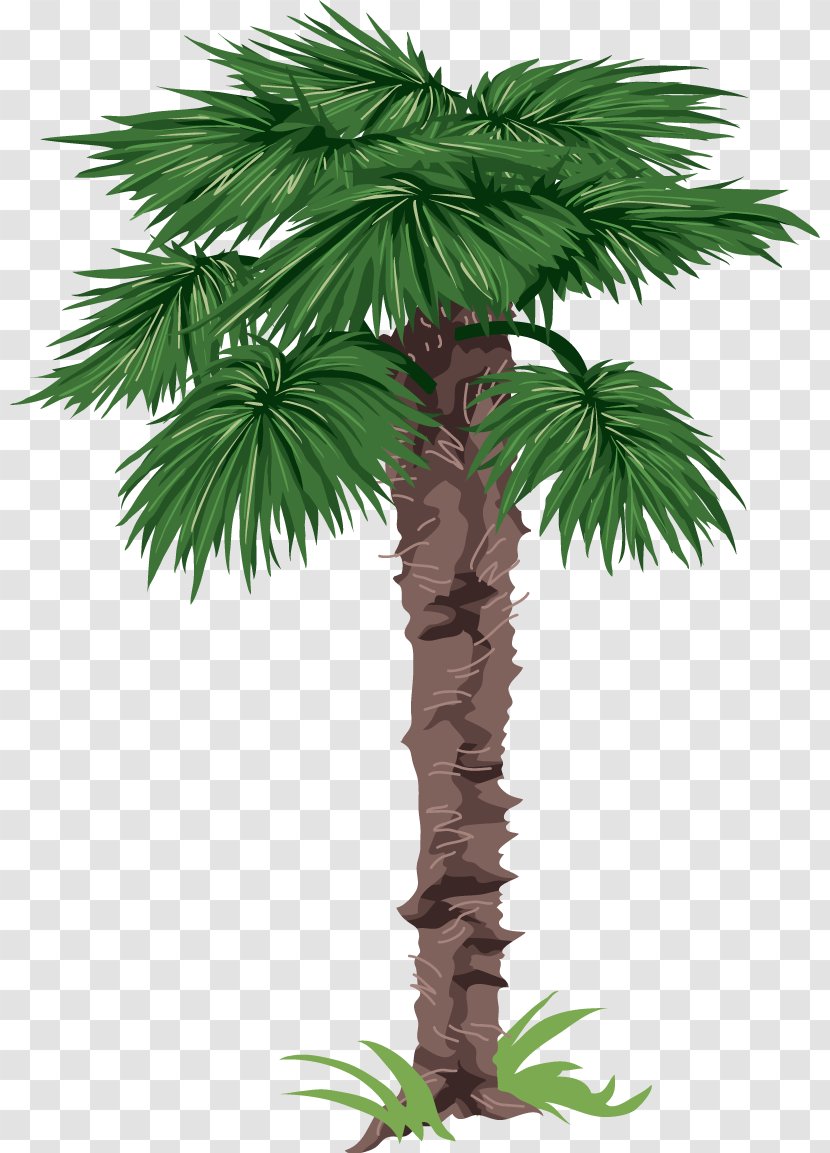 Palm Trees Clip Art Crownshaft - Desert - Tree Transparent PNG