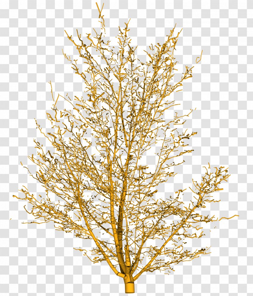 Tree Branch Yellow Shrub - Diagram Transparent PNG