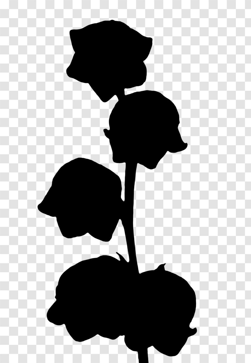 Clip Art Leaf Silhouette Black M - Herbaceous Plant Transparent PNG