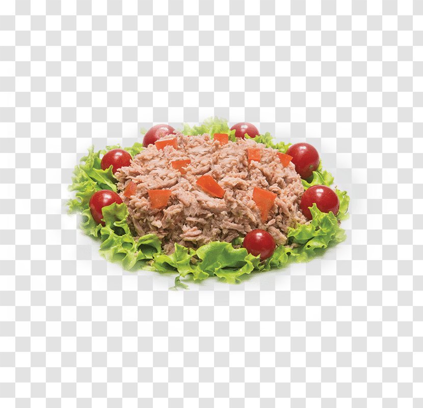 Vegetarian Cuisine Food Salad Vegetable - Tuna Transparent PNG