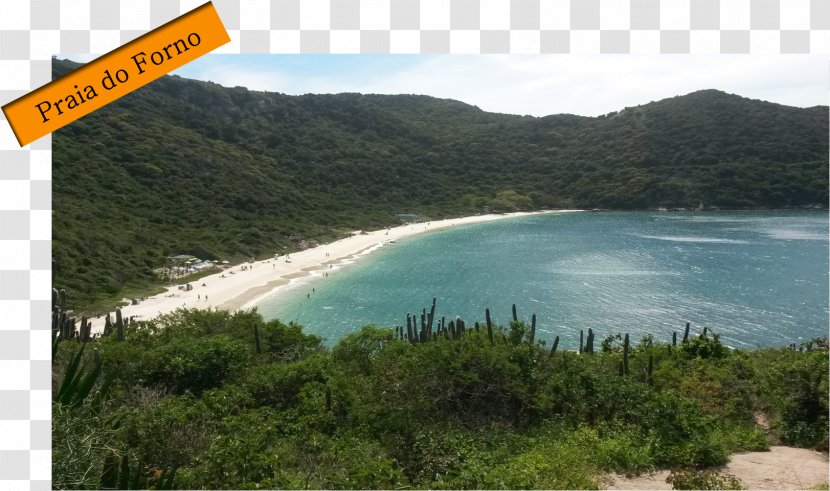 Oven's Beach Arraial Do Cabo Shore Nature Reserve - Printing - Como Fazer Peixe Assado No Forno Transparent PNG