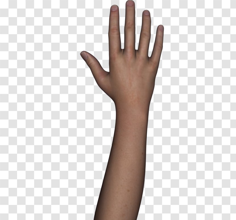 Hand Arm Human Body - Cartoon Transparent PNG