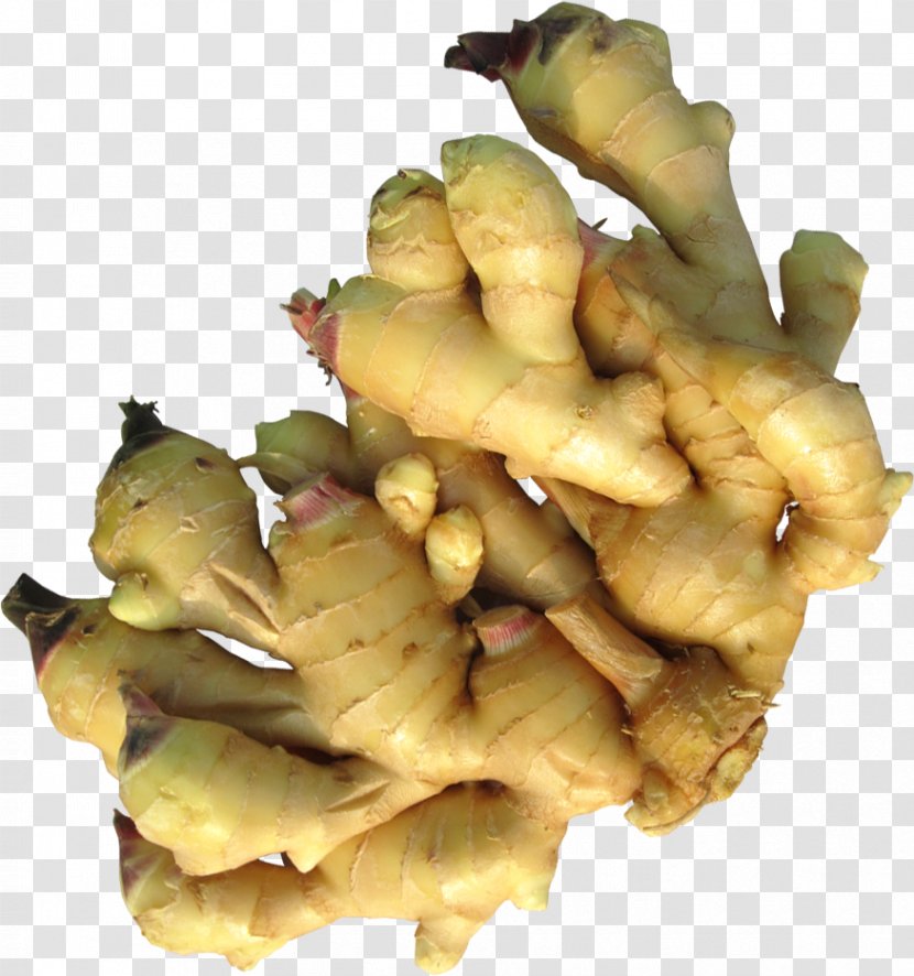 Ginger Root Vegetables Spice Condiment - Tuber Transparent PNG
