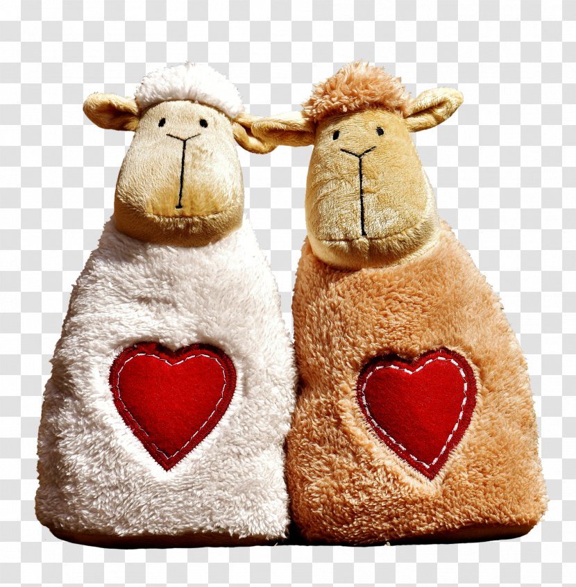 Love Friendship Valentine's Day Romance - Photography - Sheep Transparent PNG