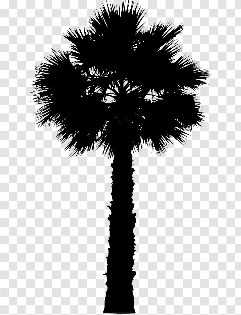 Asian Palmyra Palm Date Leaf Trees Silhouette - Blackandwhite - Trunk Transparent PNG