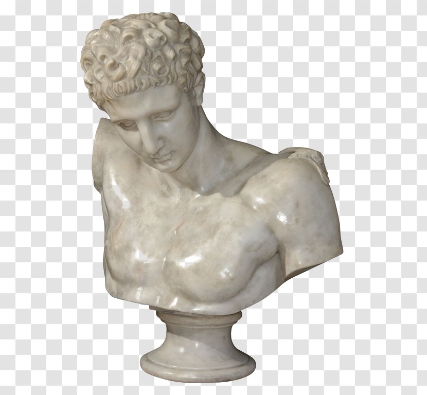 Hermes Apollo Belvedere Bust Sculpture Marble - Figurine - Statue Transparent PNG