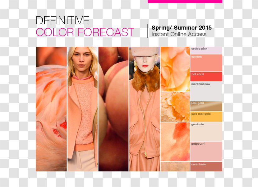 Fashion Forecasting Orange Color Peach - Advertising - Trend Colors Transparent PNG