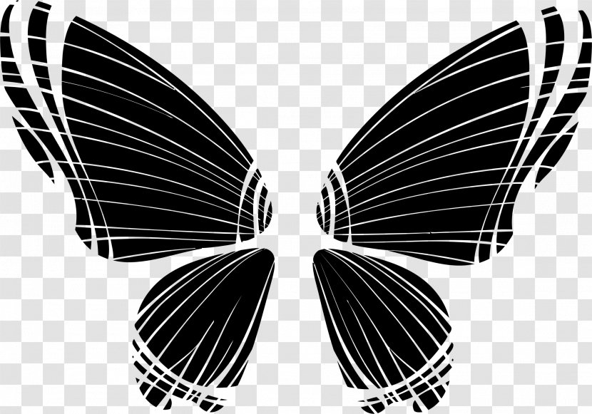 Butterfly Desktop Wallpaper Color Silhouette Clip Art - Moth Transparent PNG