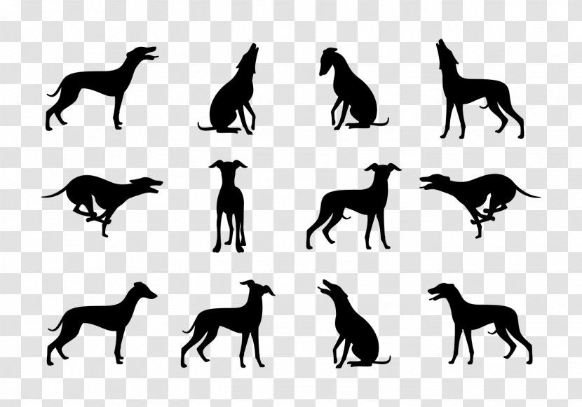 Whippet Greyhound Silhouette Dog Breed - Like Mammal Transparent PNG