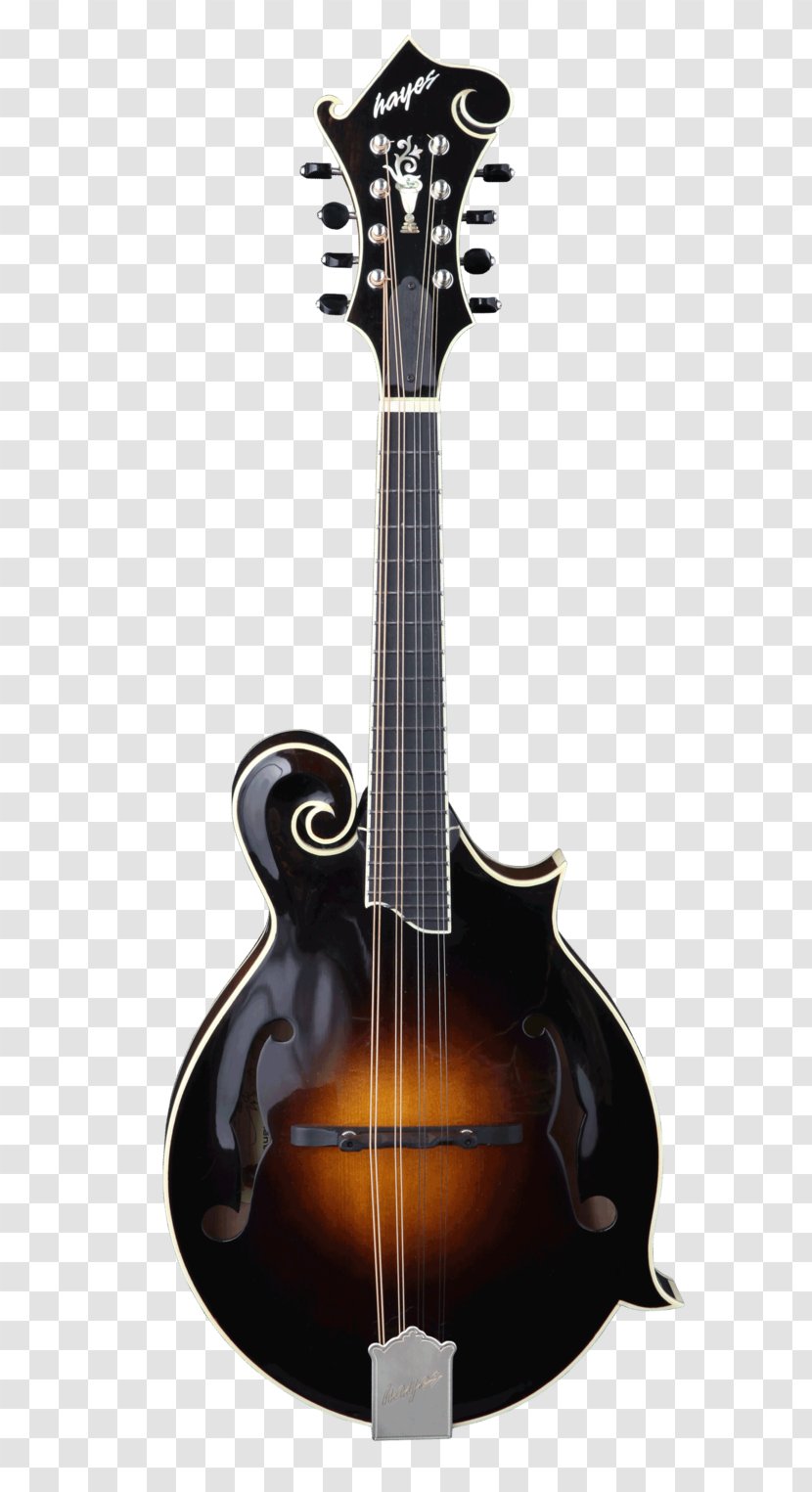 Mandolin Musical Instruments Musician Acoustic Guitar - Flower Transparent PNG