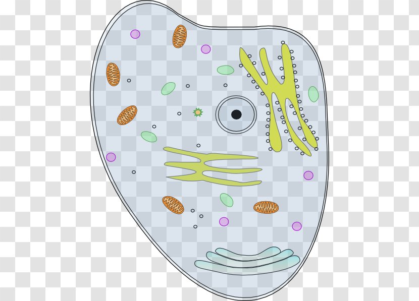 Plant Cell Biology Clip Art - Organelle - Cliparts Transparent PNG