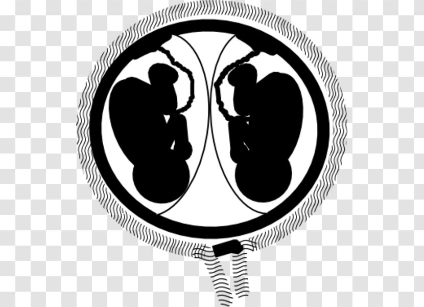 Twin Pregnancy Fetus Uterus Clip Art - Twins Transparent PNG