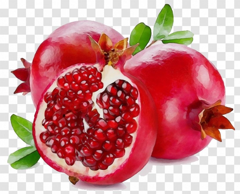 Natural Foods Fruit Pomegranate Berry Food - Wet Ink - Superfruit Frutti Di Bosco Transparent PNG