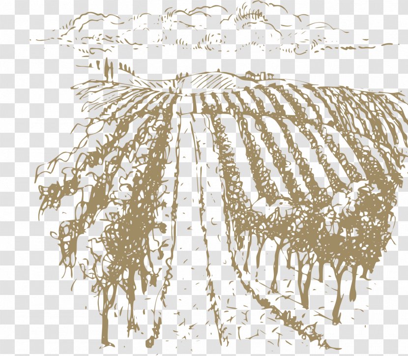 Family Tree Background - Wine - Drawing Pine Transparent PNG