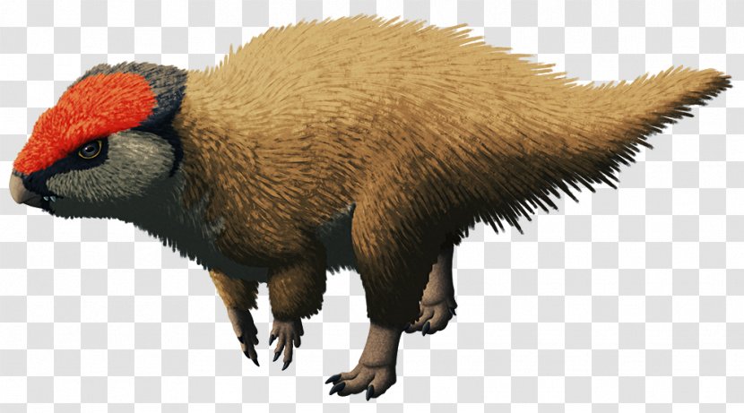 Yinlong Horned Dinosaurs Pachyrhinosaurus Triceratops Ankylosaurus - Fauna - Dinosaur Transparent PNG