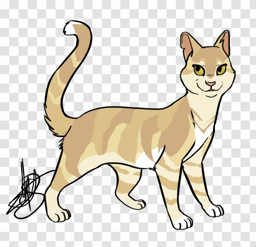 Whiskers Sokoke Sandstorm Tabby Cat Domestic Short-haired - Firestar Transparent PNG