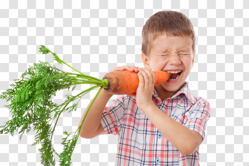 Carrot Eating Stock Photography Vegetable Food Transparent PNG