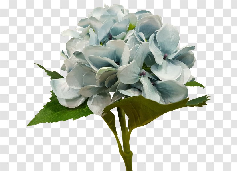 Hydrangea Floral Design Cut Flowers Flower Bouquet - Cornales Transparent PNG