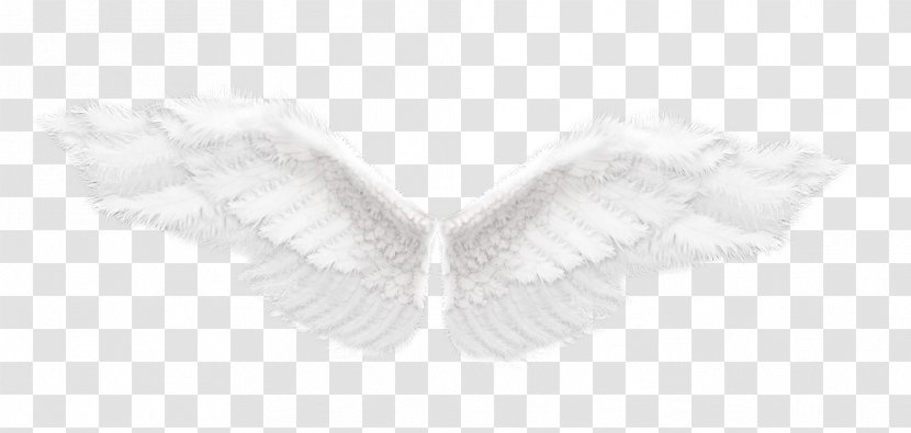 Angle Feather - Black And White Transparent PNG