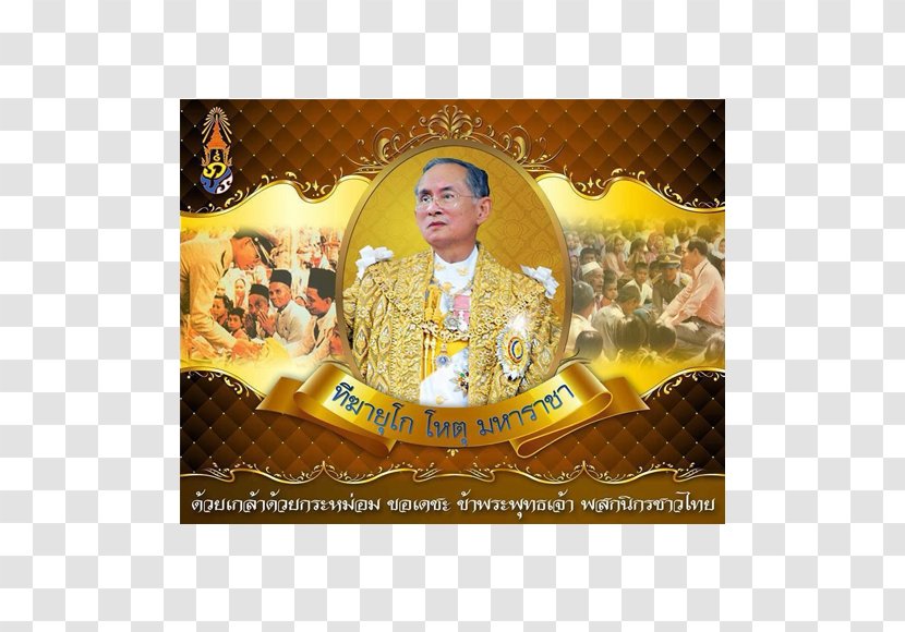 คลีนิกรักสัตว์ โรงเรียนเสนารักษ์ กรมแพทย์ทหารบก Nonthaburi Wat Phra That Doi Suthep Senarak School - Outlook Festival Transparent PNG