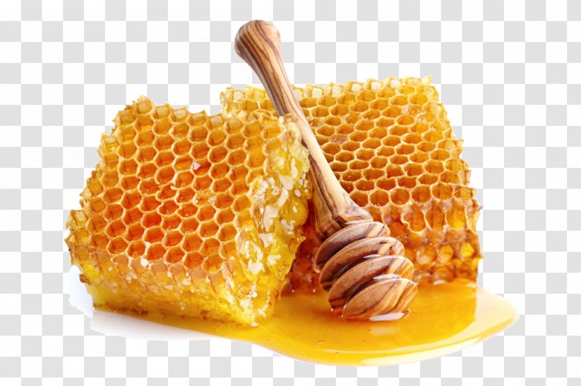 Honeycomb Bee Comb Honey Breakfast - Stock Photography Transparent PNG