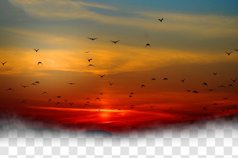 Sunset Sky Cloud - Dusk - Under The Birds Transparent PNG