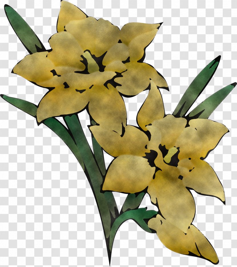 Flower Plant Yellow Lily Terrestrial - Stem Cut Flowers Transparent PNG