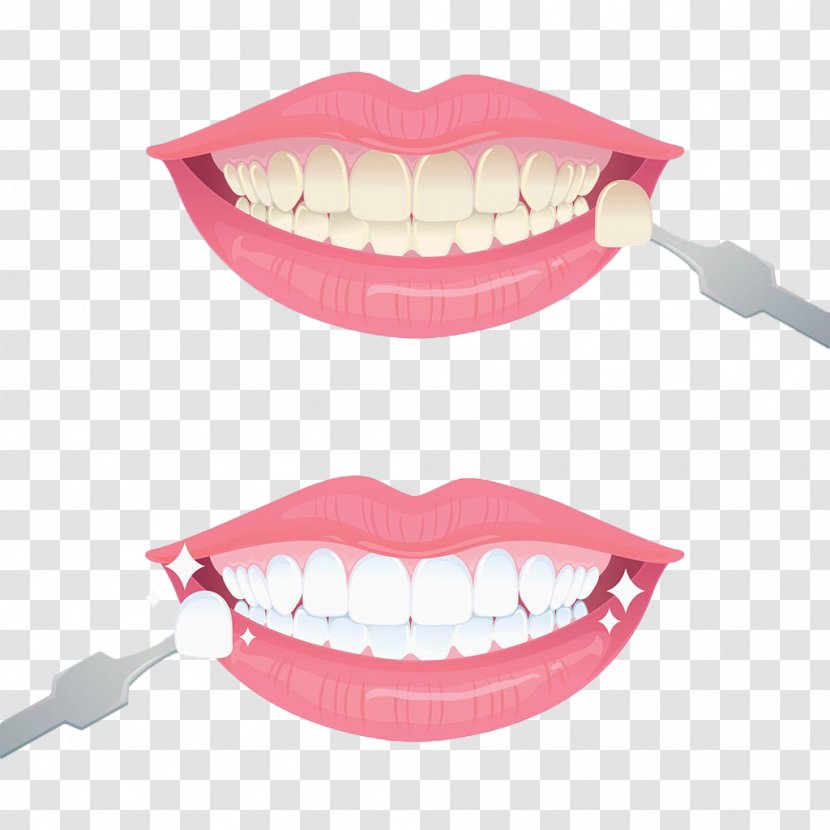 Tooth Whitening Euclidean Vector - Toothpaste - Hand Painted Teeth Transparent PNG