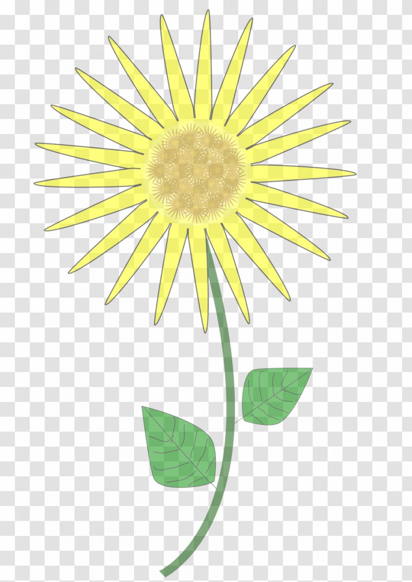 Sunflower - Plant - Mayweed Transparent PNG