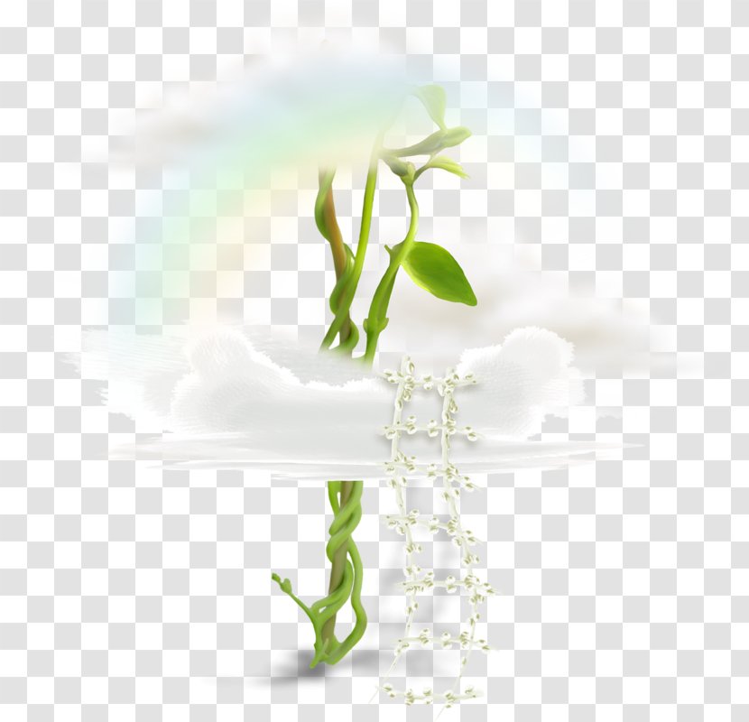 Desktop Wallpaper Flower Clip Art - Still Life Photography Transparent PNG