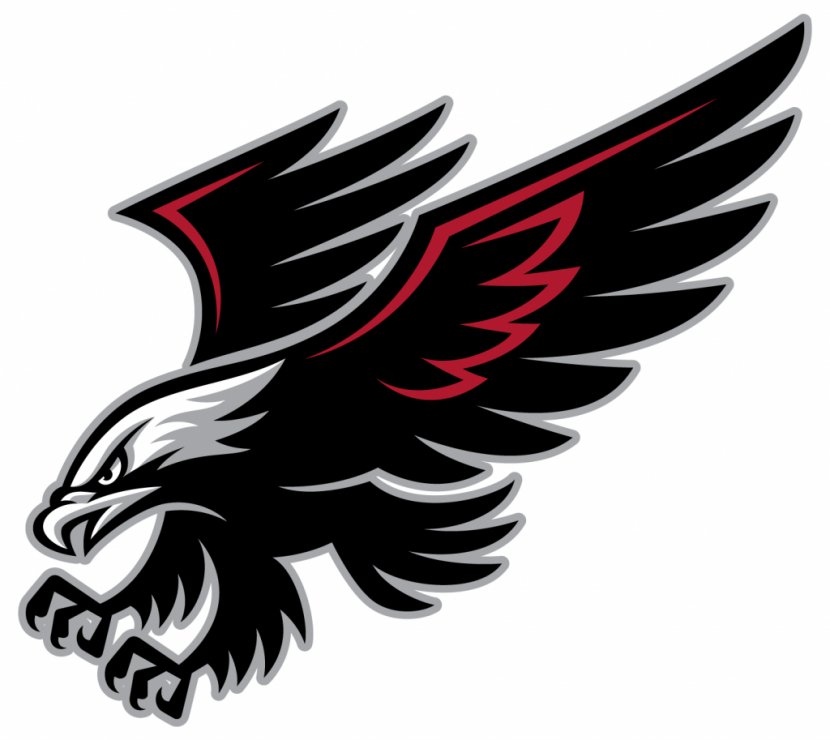 Williams Field High School Student Campo Verde Higley Unified District Middle - Blackhawks Logo Cliparts Transparent PNG