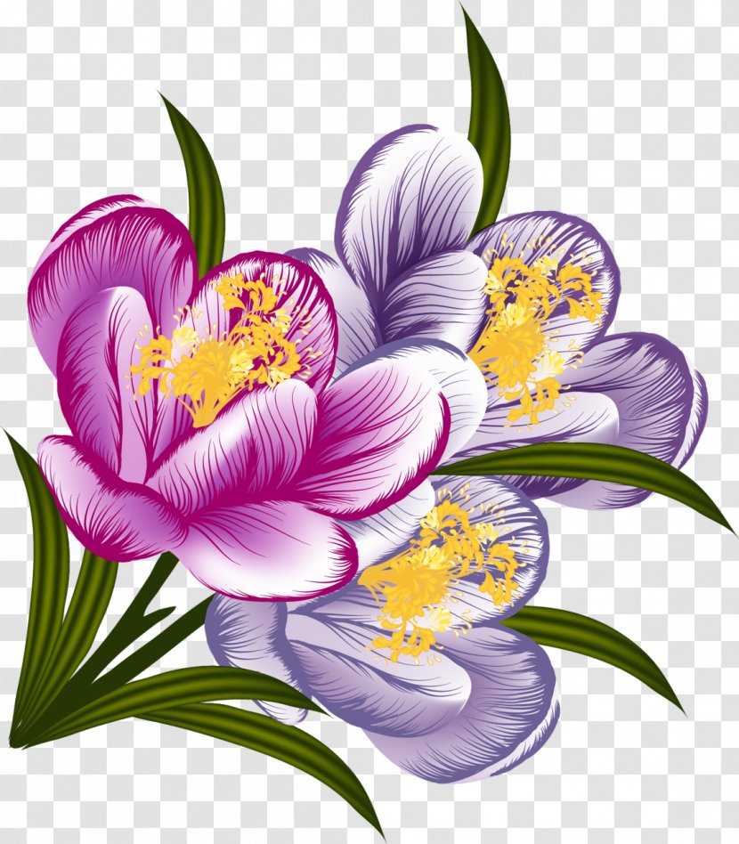 Flower Floral Design Watercolor Painting Clip Art - Crocus Transparent PNG