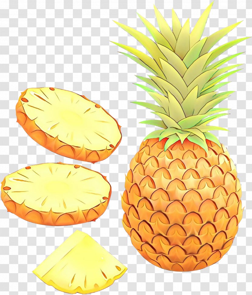 Pineapple - Plant - Poales Orange Transparent PNG