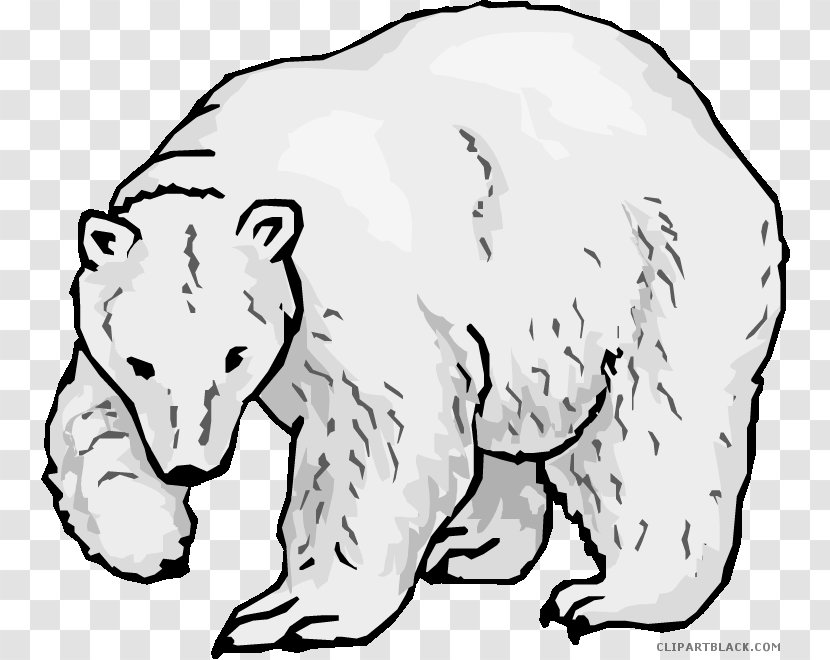 Polar Bear Endangered Species Coloring Book Arctic Fox - Animal Transparent PNG