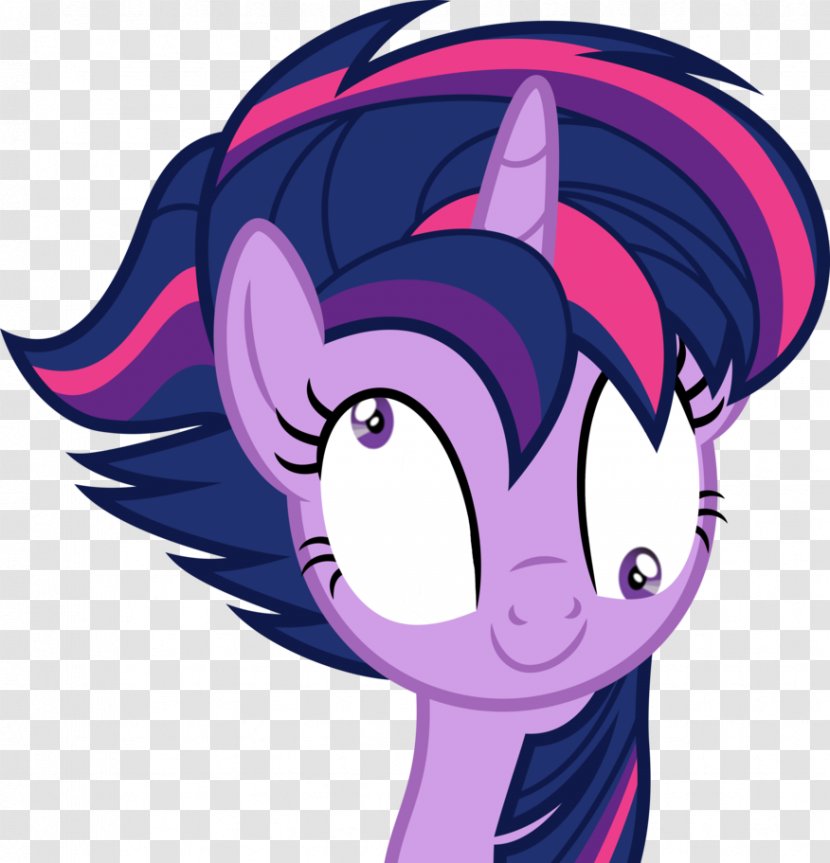 Twilight Sparkle Rainbow Dash Rarity Pony Applejack - Cartoon - My Little Transparent PNG