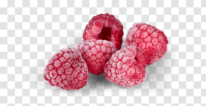 Raspberry Boysenberry Loganberry Tayberry Fruit - Dietary Fiber - Environmental Protection Vegetable Transparent PNG